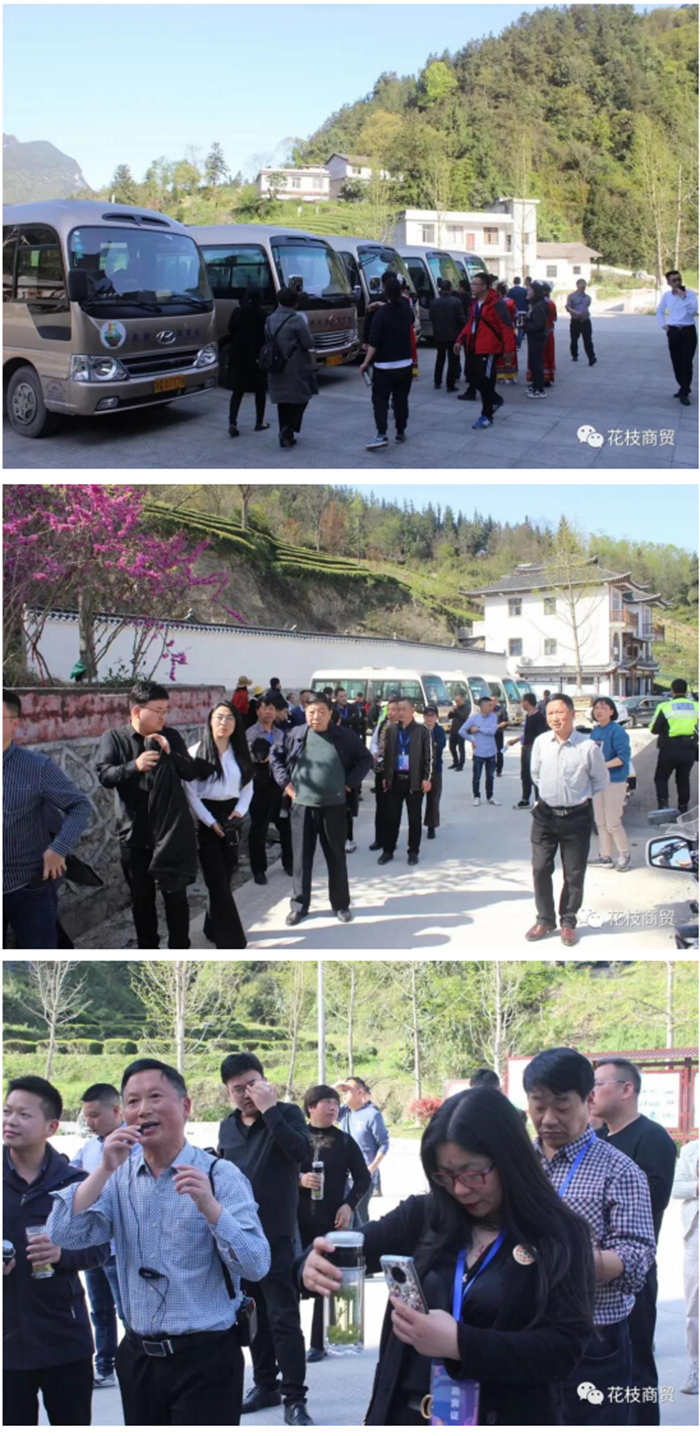 1619056454821.png 1617786205792.png